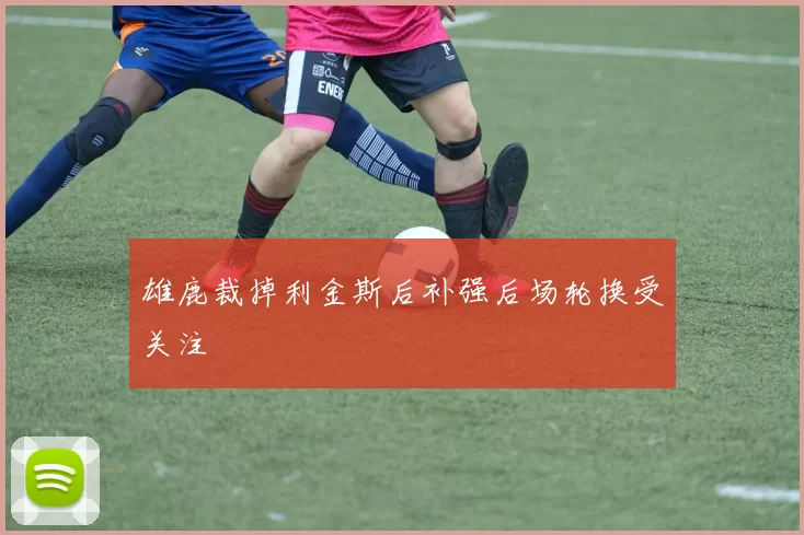 雄鹿裁掉利金斯后补强后场轮换受关注