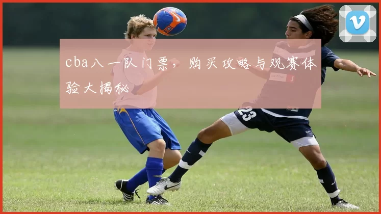 cba八一队门票，购买攻略与观赛体验大揭秘