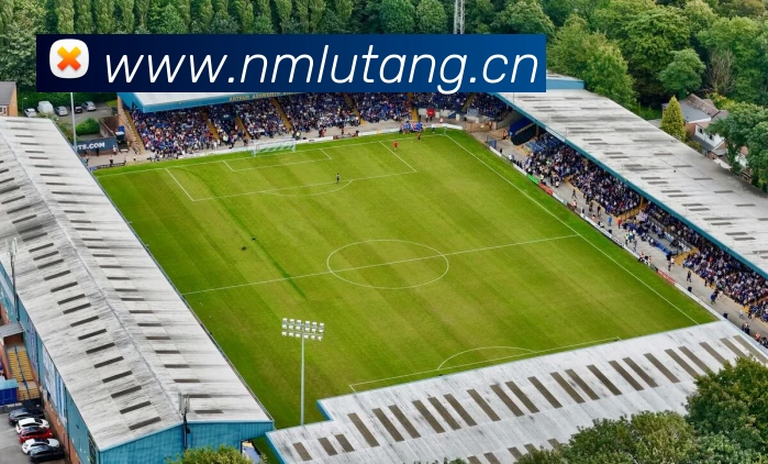 多媒体互动体验